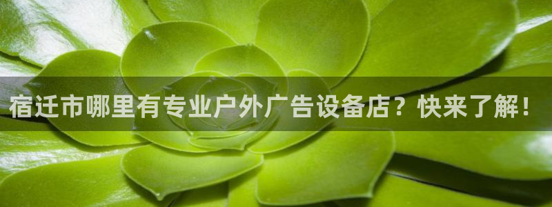 杏宇官方平台官网入口：宿迁市哪里有专业户外广告设备店？快来了解！