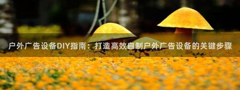 杏宇平台登录步骤是什么：户外广告设备DIY指南：打造高效自制户外广告设备的关键步骤