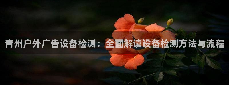 杏宇平台测速链接：青州户外广告设备检测：全面解读设备检测方法与流程