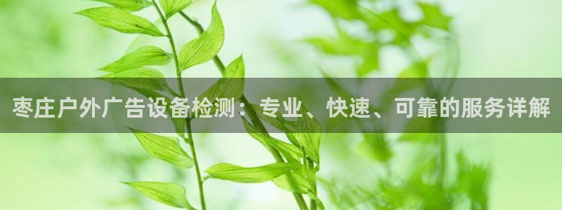 杏宇平台招商怎么样：枣庄户外广告设备检测：专业、快速、可靠的服务详解