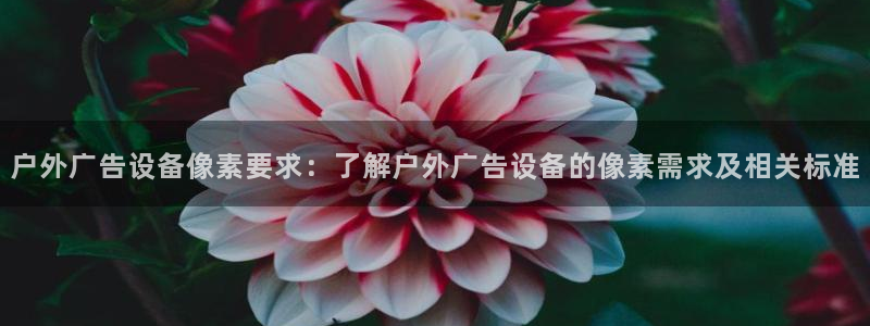 杏宇平台总代理电话：户外广告设备像素要求：了解户外广告设备的像素需求及相关标准