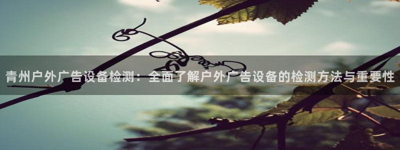 杏宇平台登录步骤：青州户外广告设备检测：全面了解户外广告设备的检测方法与重要性