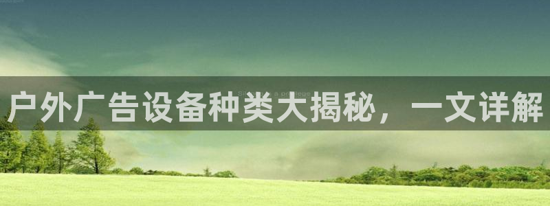 杏宇平台主管