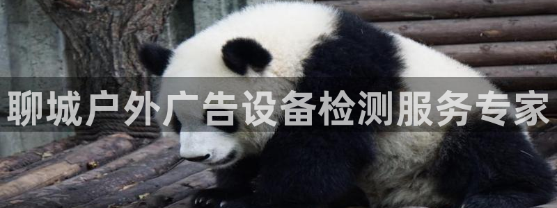杏宇代理注册：聊城户外广告设备检测服务专家