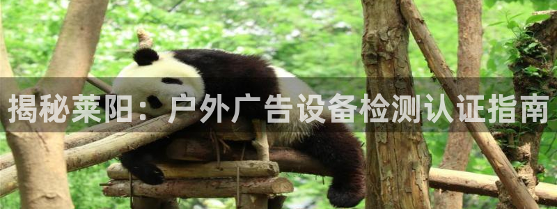 杏宇平台登陆：揭秘莱阳：户外广告设备检测认证指南