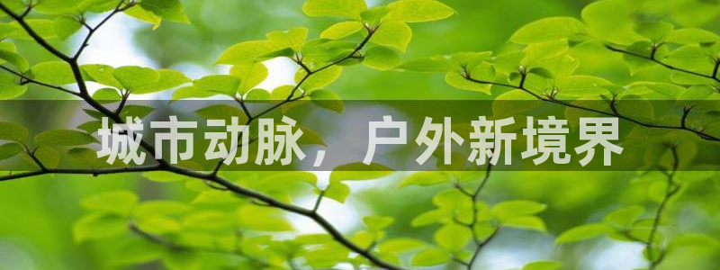 杏宇平台开户：城市动脉，户外新境界