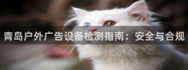 杏宇平台招商：青岛户外广告设备检测指南：安全与合规