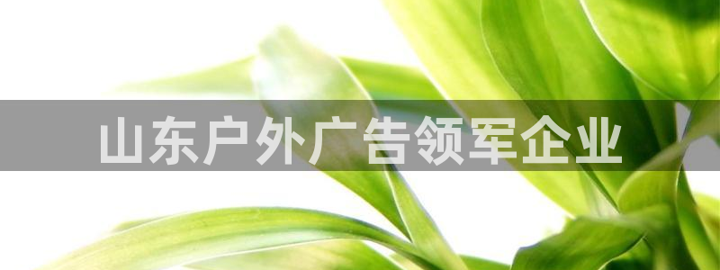 杏宇平台招商怎么样：山东户外广告领军企业