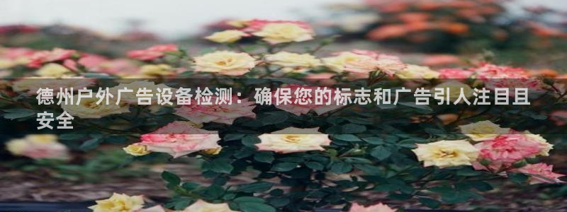 杏宇平台主管：德州户外广告设备检测：确保您的标志和广告引人注目且
安全