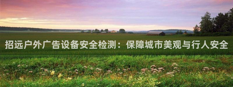 杏宇平台好吗：招远户外广告设备安全检测：保障城市美观与行人安全