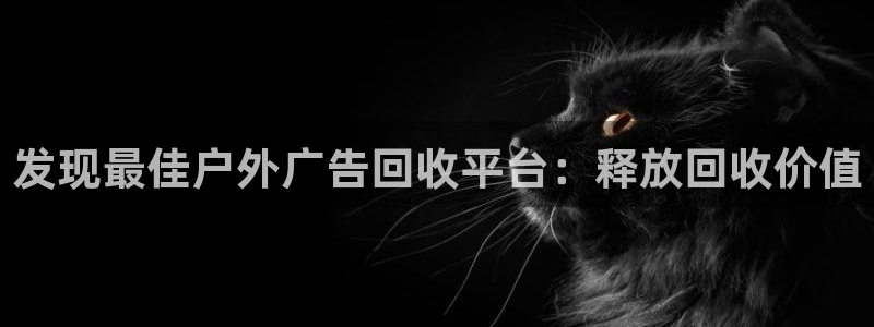 杏宇平台代理多少钱一个