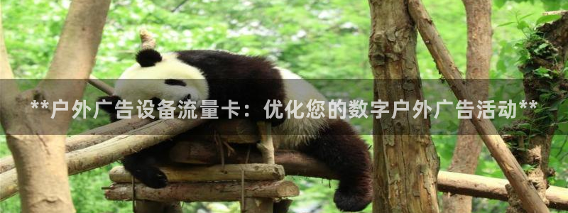杏宇平台代理怎么样可靠吗