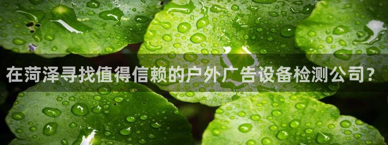 杏宇平台登录步骤是什么：在菏泽寻找值得信赖的户外广告设备检测公司？