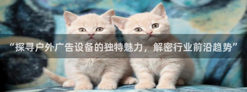 杏宇平台主管