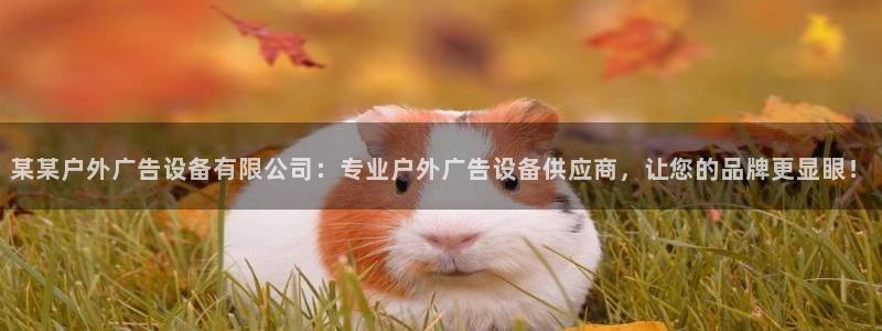 杏宇平台代理多少钱一次：某某户外广告设备有限公司：专业户外广告设备供应商，让您的品牌更显眼！