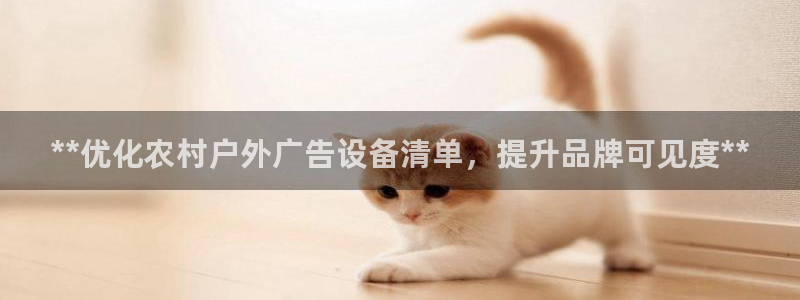 杏宇平台代理多少钱：**优化农村户外广告设备清单，提升品牌可见度**