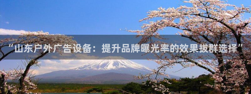 杏宇官方平台官网：“山东户外广告设备：提升品牌曝光率的效果拔群选择”