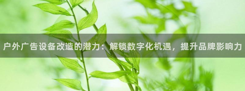 杏宇平台代理怎么样