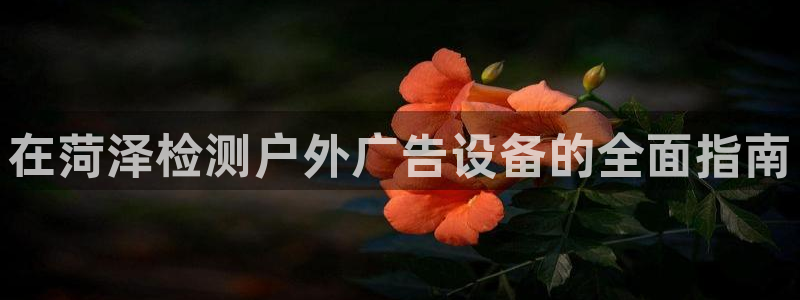 杏宇平台招商怎么样：在菏泽检测户外广告设备的全面指南