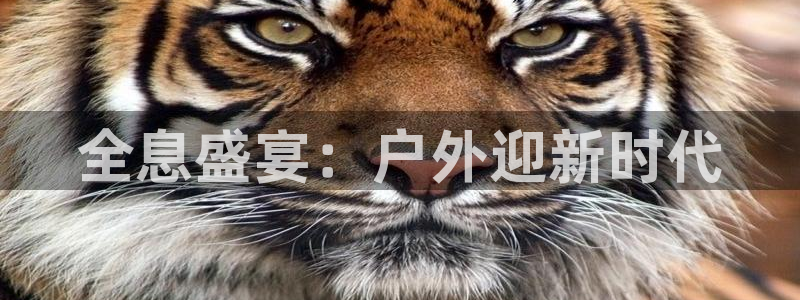 杏宇平台代理怎么样可靠吗：全息盛宴：户外迎新时代