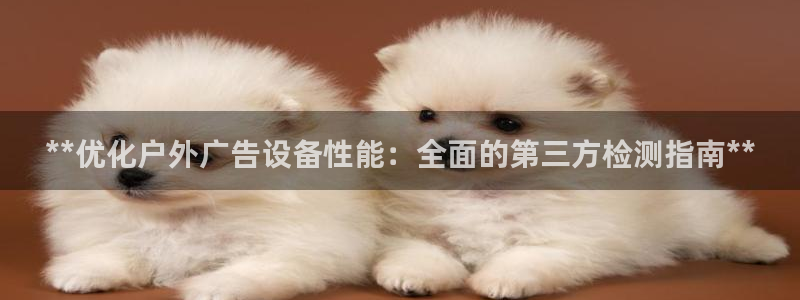 杏宇平台注册登录