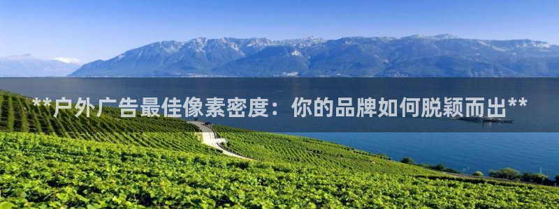 杏宇平台代理怎么样可靠吗：**户外广告最佳像素密度：你的品牌如何脱颖而出**