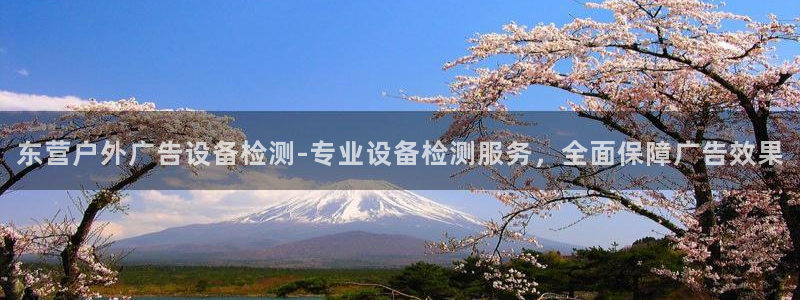 杏宇平台代理多少钱：东营户外广告设备检测-专业设备检测服务，全面保障广告效果