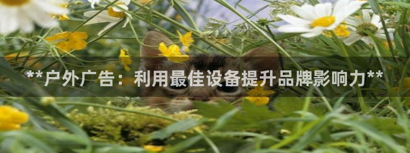 杏宇官方平台官网：**户外广告：利用最佳
