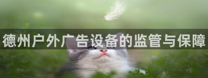 杏宇平台代理怎么样可靠吗：德州户外广告设备的监管与保障