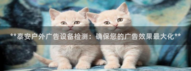 杏宇平台客服：**泰安户外广告设备检测：确保您的广告效果最大化**