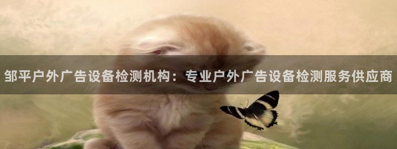 杏宇平台登录步骤是什么：邹平户外广告设备检测机构：专业户外广告设备检测服务供应商