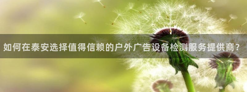 杏宇平台是什么：如何在泰安选择值得信赖的户外广告设备检测服务提供商？