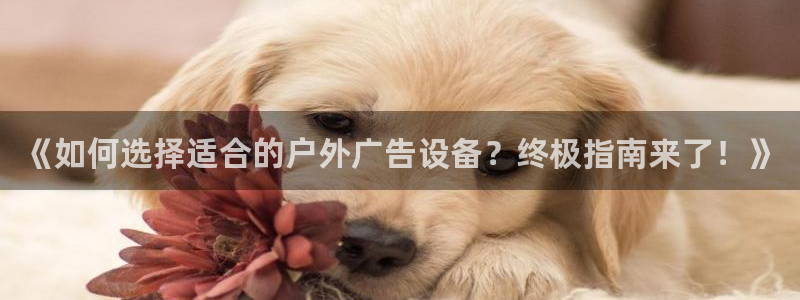 杏宇平台登录步骤是什么：《如何选择适合的户外广告设备？终极指南来了！》