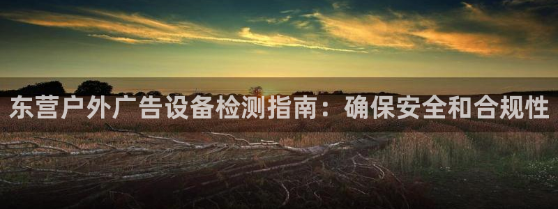 杏宇平台注册登录：东营户外广告设备检测指南：确保安全和合规性