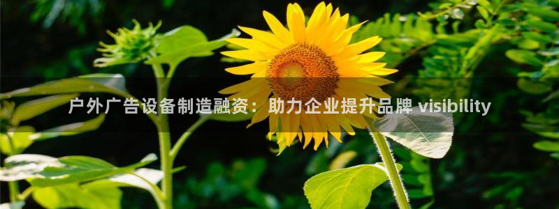 杏宇平台代理怎么赚钱：户外广告设备制造融资：助力企业提升品牌 visibility