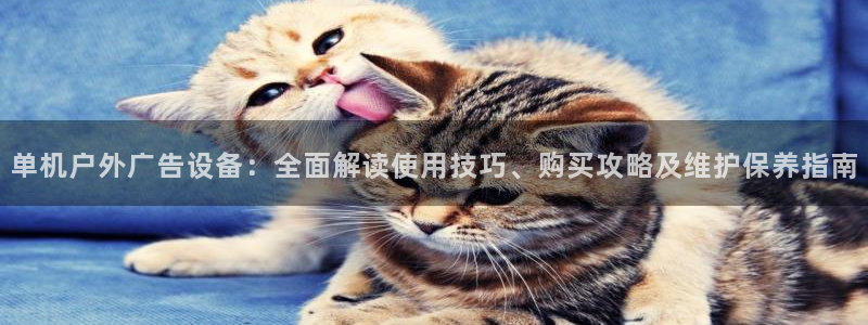 杏宇平台怎么样赚钱：单机户外广告设备：全面解读使用技巧、购买攻略及维护保养指南