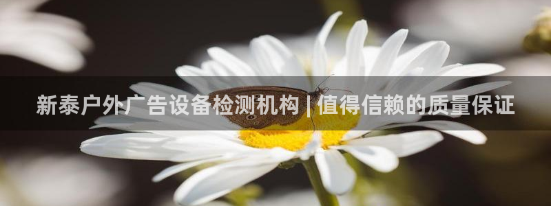 杏宇平台招商怎么样：新泰户外广告设备检测
