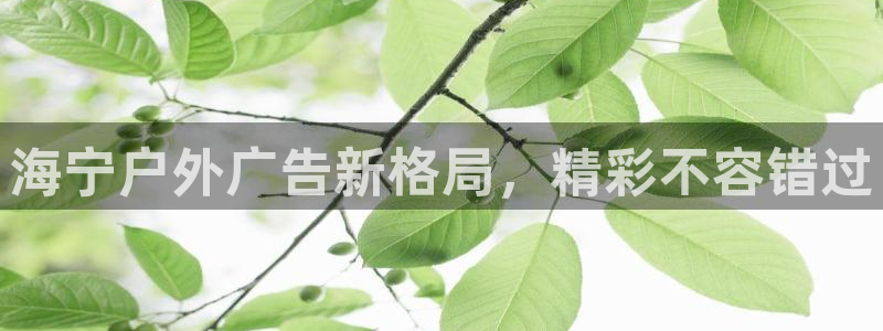 杏宇平台主管：海宁户外广告新格局，精彩不