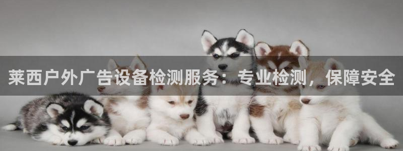 杏宇平台登陆：莱西户外广告设备检测服务：