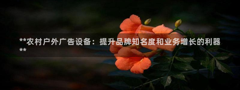 杏宇平台怎么样赚钱：**农村户外广告设备