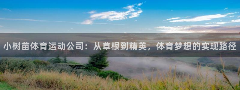vsport体育：小树苗体育运动公司：从草根到精英，体育梦想的实现路径