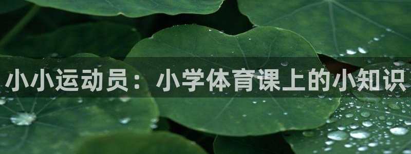 vsport体育在线官网：小小运动员：小学体育课上的小知识