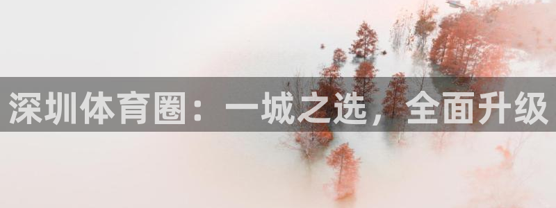 vsport体育在线官网：深圳体育圈：一城之选，全面升级