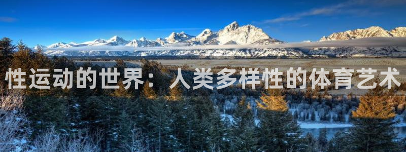 vsport体育：性运动的世界：人类多样性的体育艺术