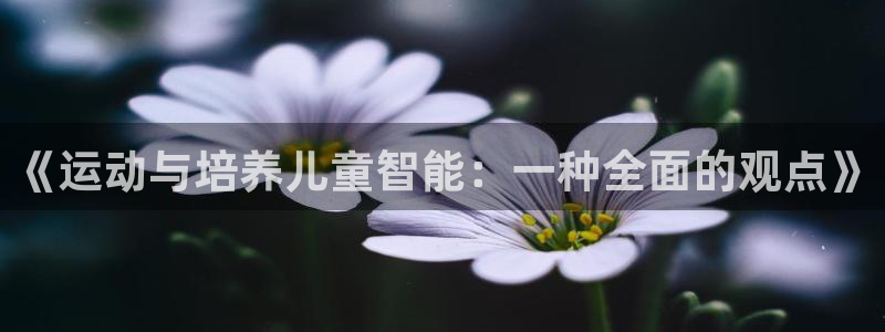 vsport体育在线官网：《运动与培养儿童智能：一种全面的观点》