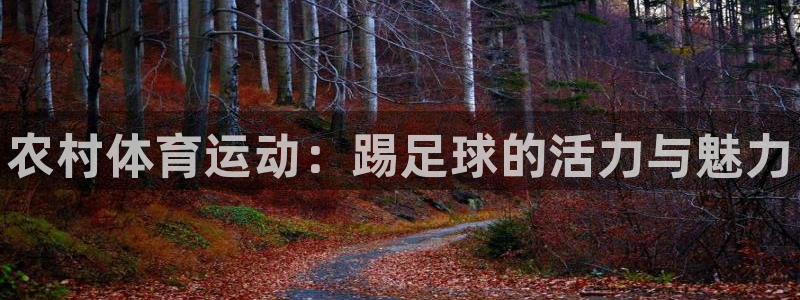 vsport体育在线官网