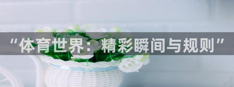 vsport体育：“体育世界：精彩瞬间与规则”