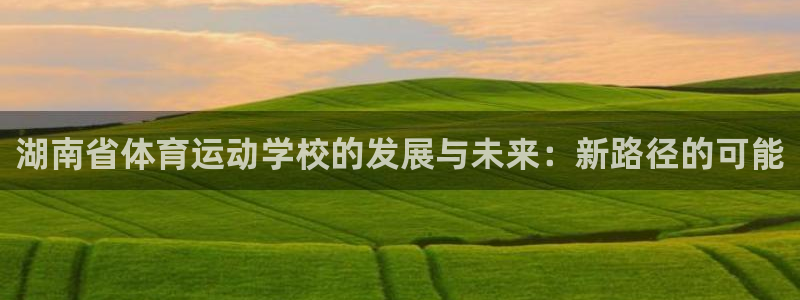 vsport体育在线官网：湖南省体育运动学校的发展与未来：新路径的可能