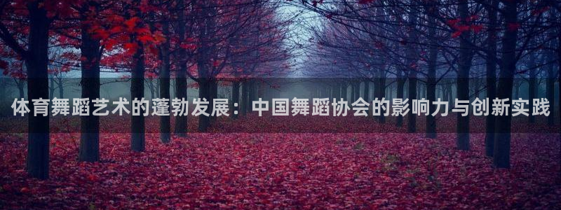 vsport体育在线官网：体育舞蹈艺术的蓬勃发展：中国舞蹈协会的影响力与创新实践