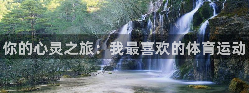 vsport体育：你的心灵之旅：我最喜欢的体育运动